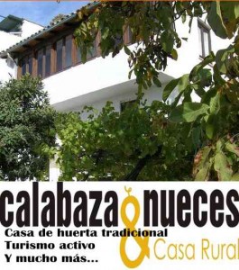 cabecera home1