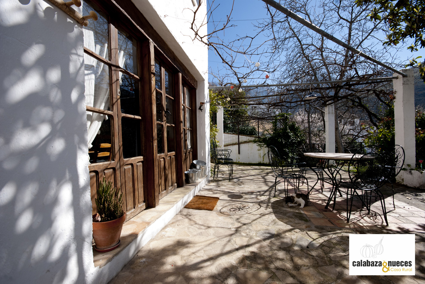 patio-6 OPT