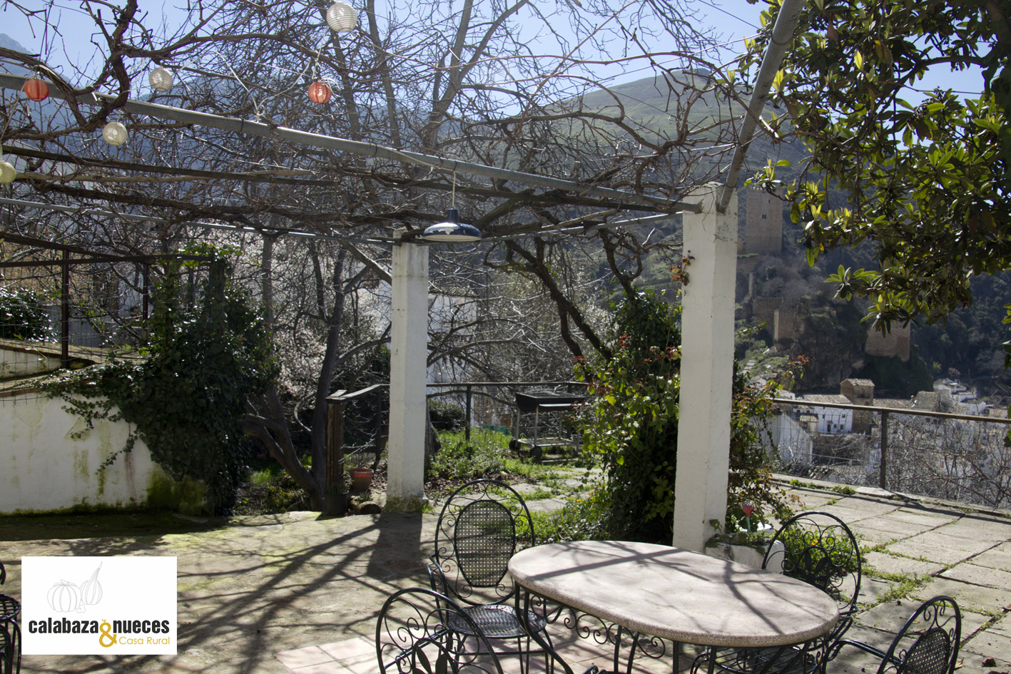patio-9 OPT