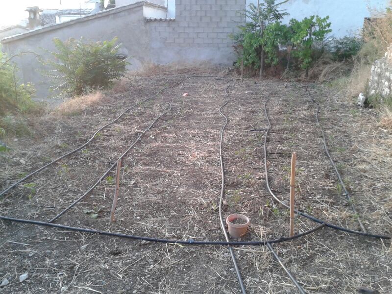 la foto 2 (5)