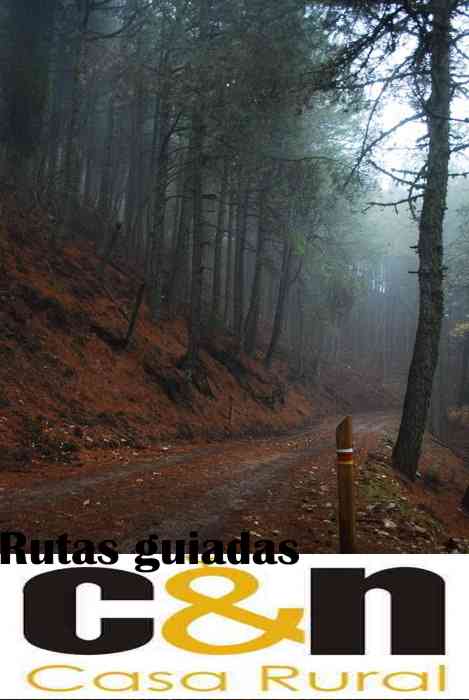 Rutas guiadas