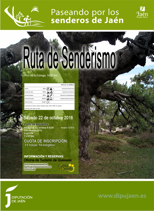 Ruta de senderismo «Pino de la entrega»